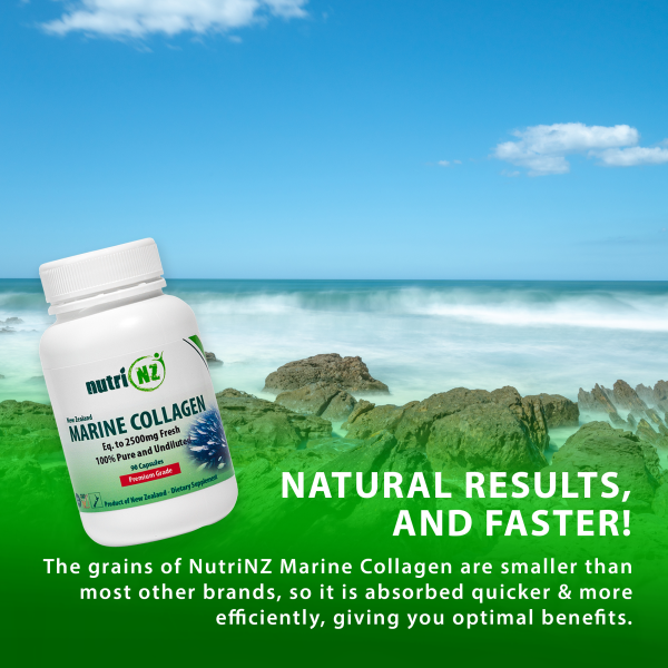 Marine Collagen Capsules - Image 2