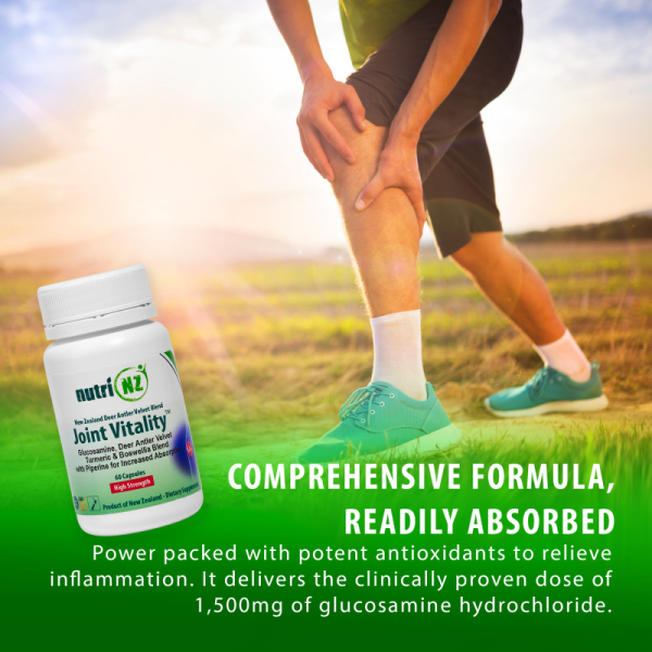 Joint Vitality Complex - Image 2