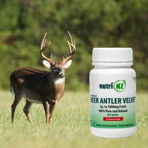 Deer Antler Velvet Capsules