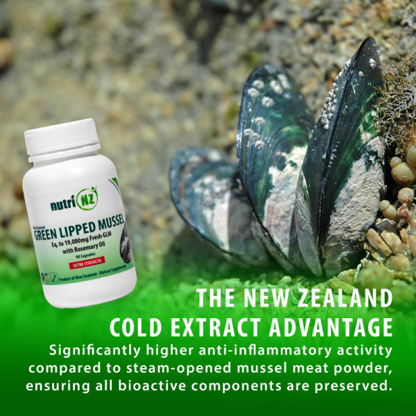 Green Lipped Mussel Capsules - Image 4